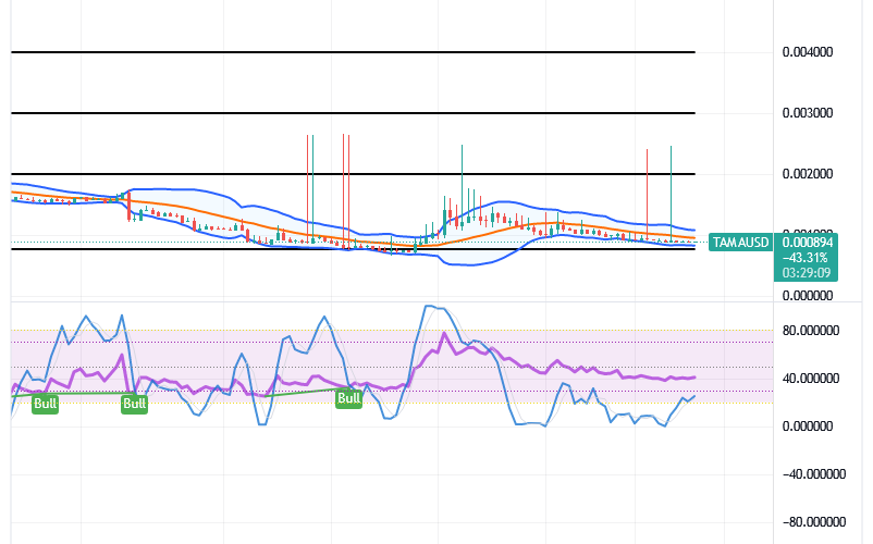Tamadoge (TAMA/USD) Market Holds a Base, Tending Spikes