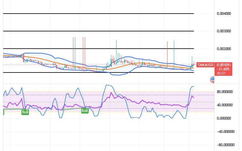 Tamadoge (TAMA/USD) Market Lowers, Holding Hikes