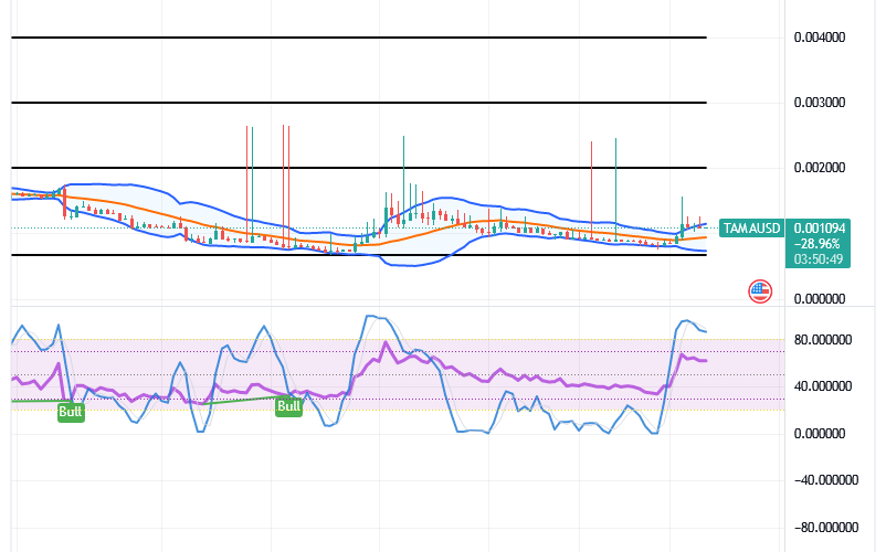 Tamadoge (TAMA/USD) Market Relaxes, Fine-tuning Bounces