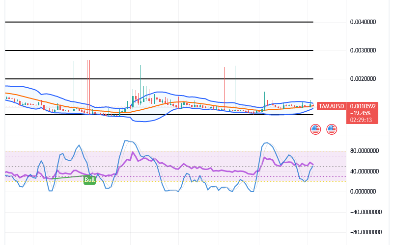 Tamadoge (TAMA/USD) Market Hovers, Propelling Hike Inputs