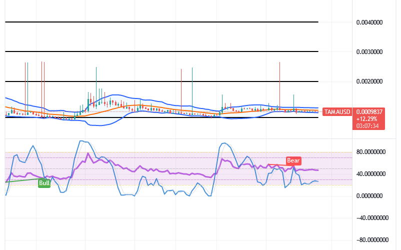 Tamadoge (TAMA/USD) Price Is Bottoming, Builds Up Catalysts
