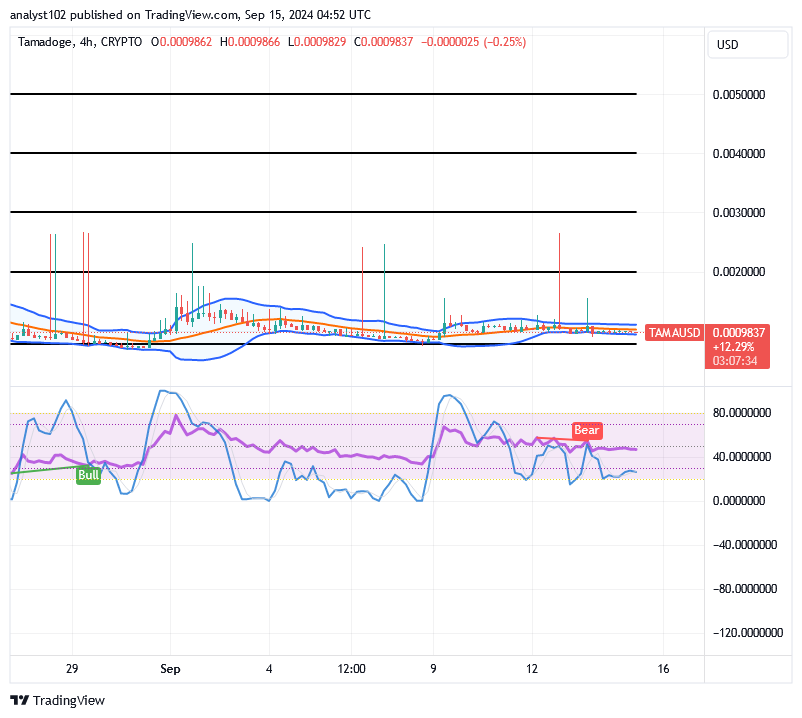 Tamadoge (TAMA/USD) Price Is Bottoming, Builds Up Catalysts