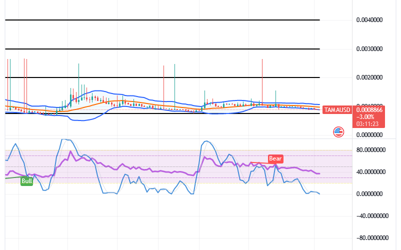 Tamadoge (TAMA/USD) Price Reshapes Basis, Holding Hikes