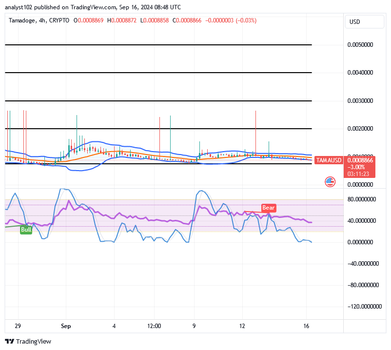 Tamadoge (TAMA/USD) Price Reshapes Basis, Holding Hikes