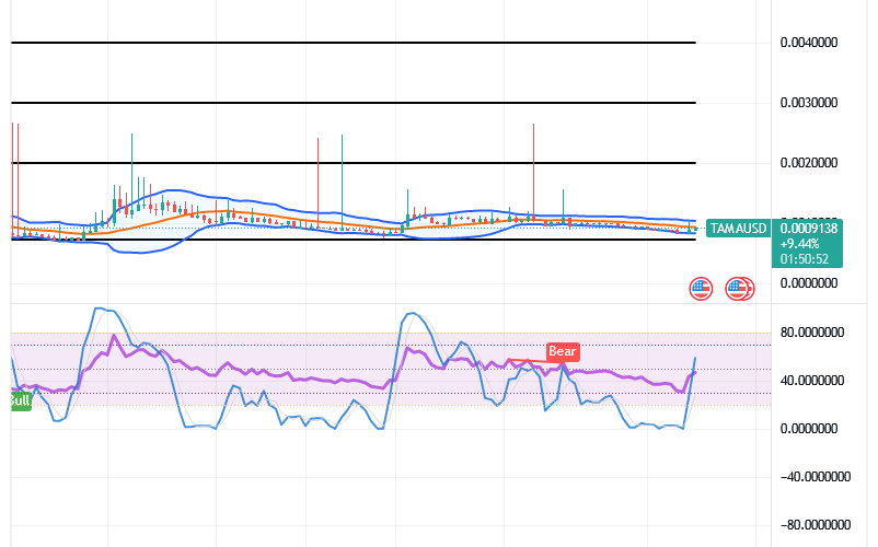 Tamadoge (TAMA/USD) Price Portends Hikes, Retaining a Base