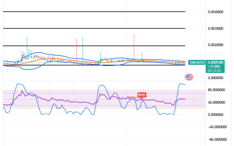 Tamadoge (TAMA/USD) Price Explores Energy, Raising Hikes