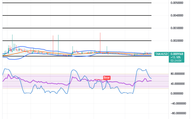 Tamadoge (TAMA/USD) Price Muscles Up, Building Momentum