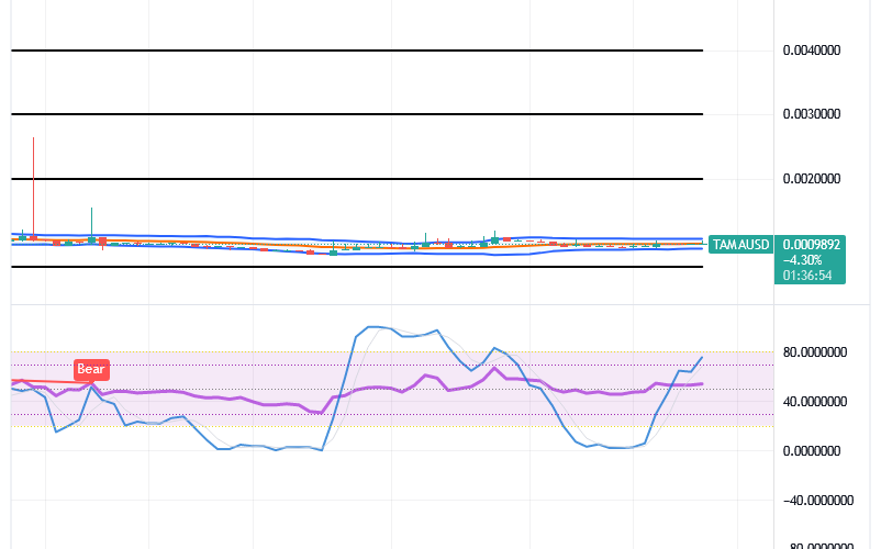Tamadoge (TAMA/USD) Trade Is Flat, Rebuilding Bounces