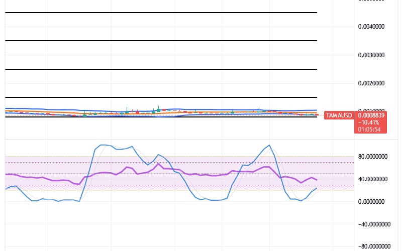 Tamadoge (TAMA/USD) Trade Is Garnering Energy, Holds Weak