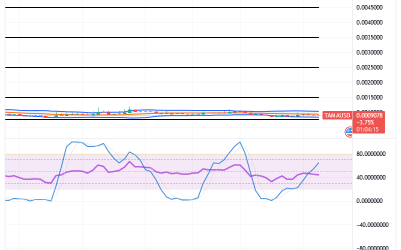 Tamadoge (TAMA/USD) Trade Hovers, Features Spirals