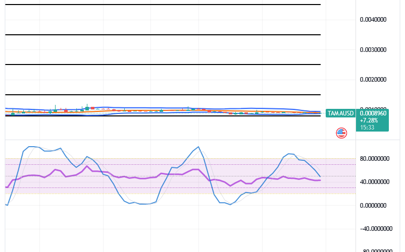 Tamadoge (TAMA/USD) Trade Bounces, Keeping Fluctuating