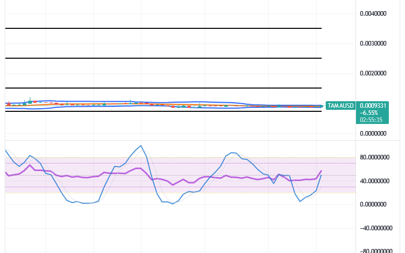 Tamadoge (TAMA/USD) Price Relaxes, Preparing for Hikes