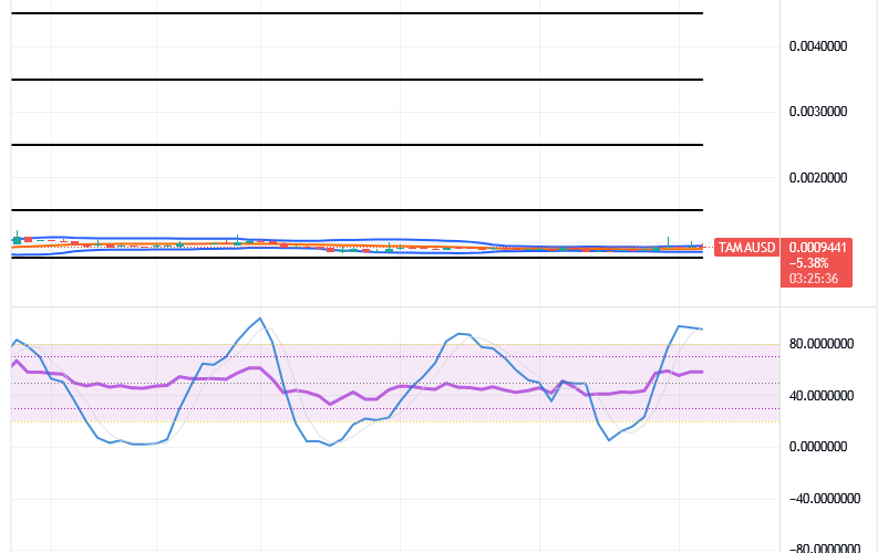 Tamadoge (TAMA/USD) Price Moves Lowly, Getting Set for Rises