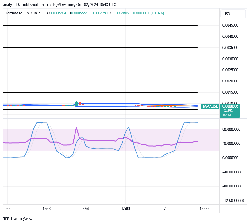 Tamadoge (TAMA/USD) Price Is in Gallivants, Holding Rises