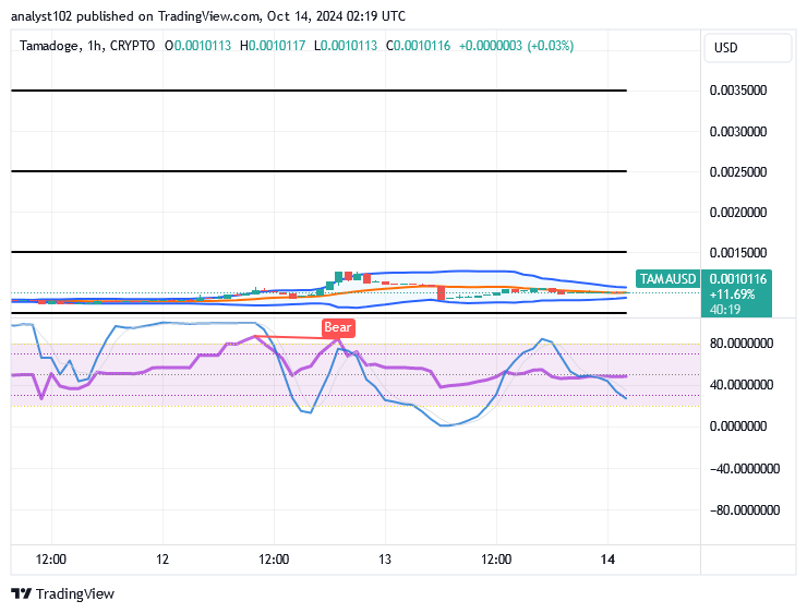 Tamadoge (TAMA/USD) Trade Is Adjusting, Settling for Spirals