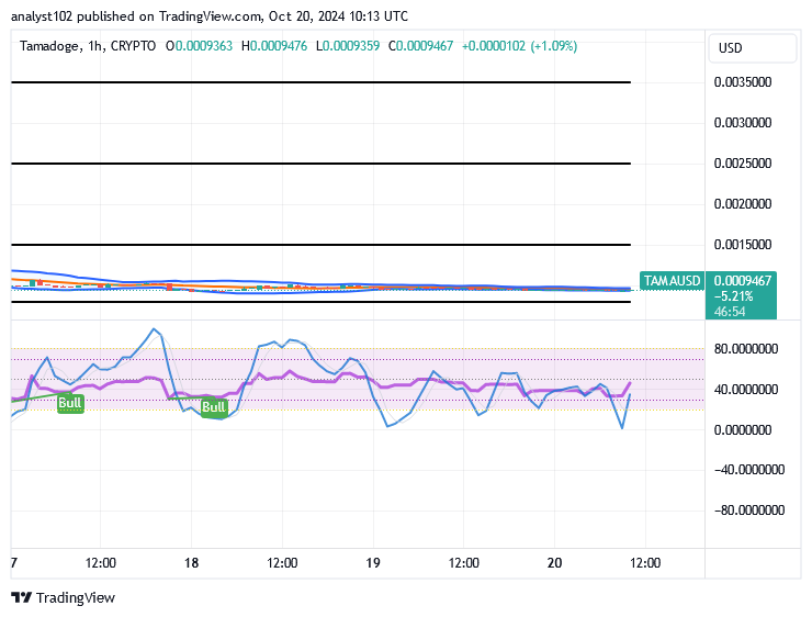 Tamadoge (TAMA/USD) Market Sets a Base, Aiming to Skyrocket