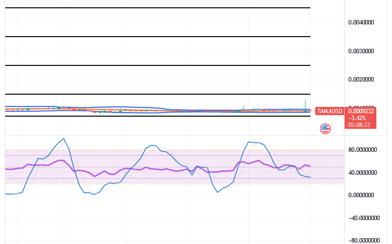 Tamadoge (TAMA/USD) Price Pushes Flat, Making Low Rises