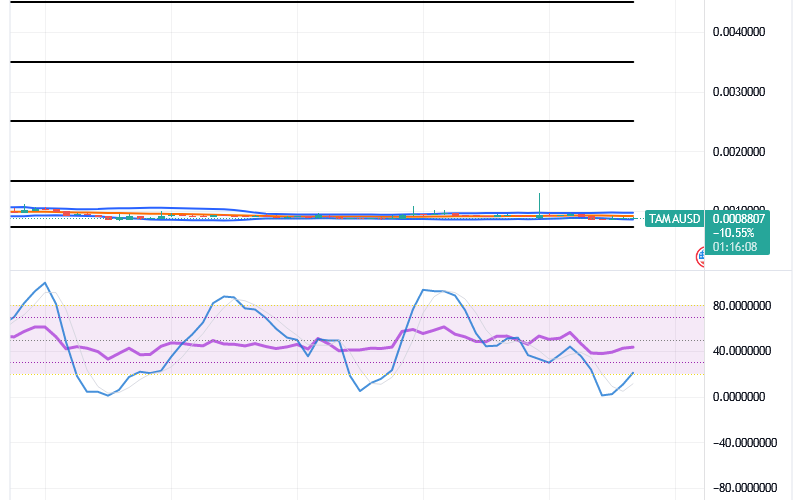 Tamadoge (TAMA/USD) Price Is in Gallivants, Holding Rises