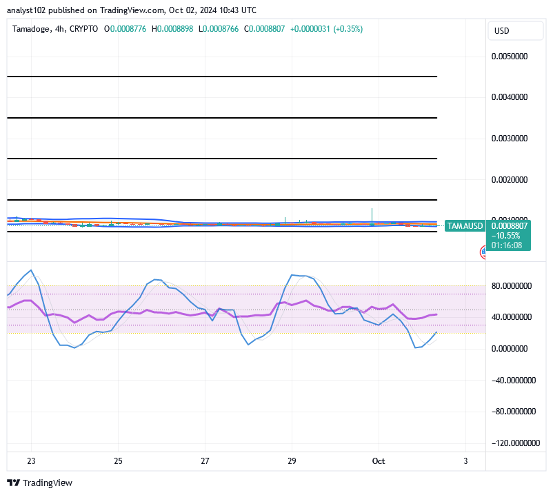 Tamadoge (TAMA/USD) Price Is in Gallivants, Holding Rises