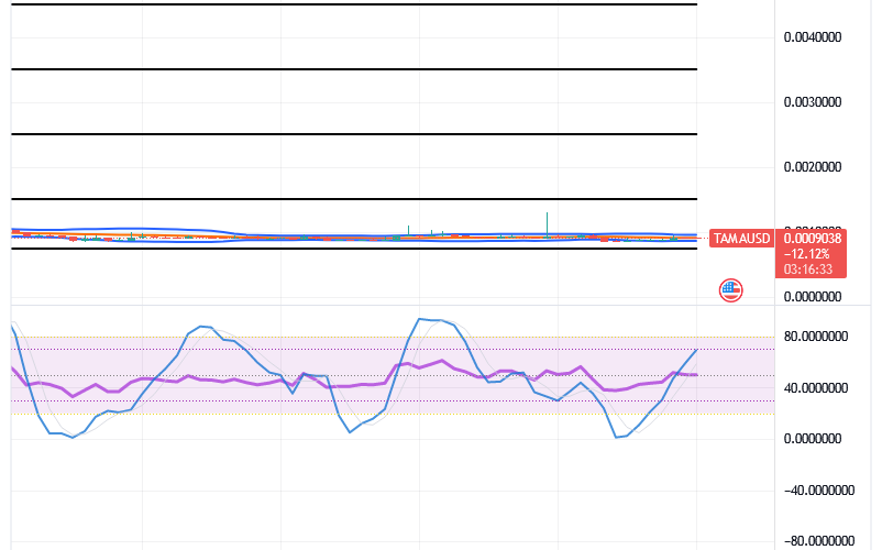 Tamadoge (TAMA/USD) Price Hovers, Trying Hikes