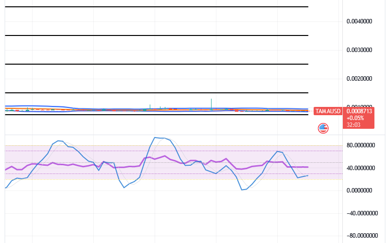 Tamadoge (TAMA/USD) Price Is Flat, Featuring Spikes