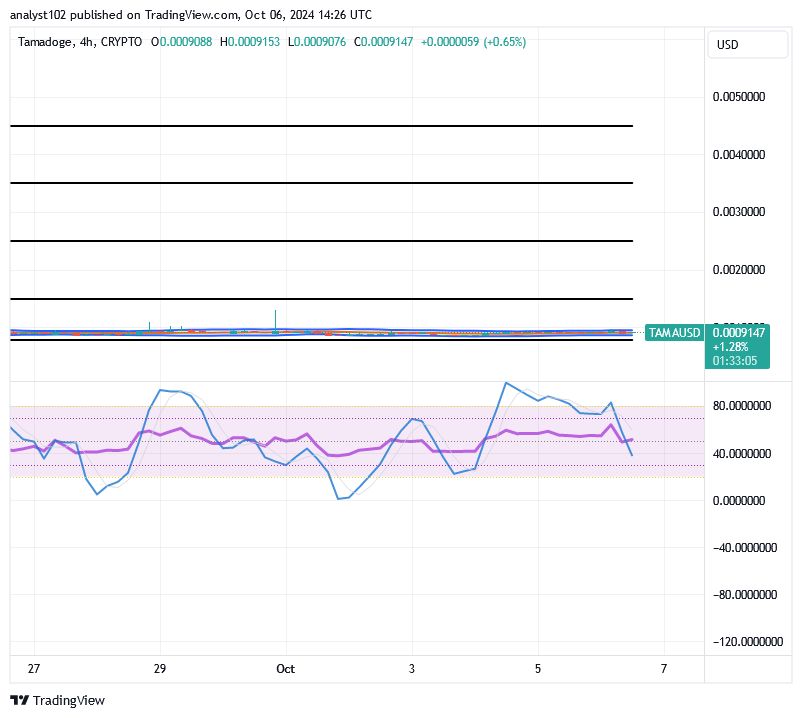 Tamadoge (TAMA/USD) Price Is Bottoming, Makes Spikes