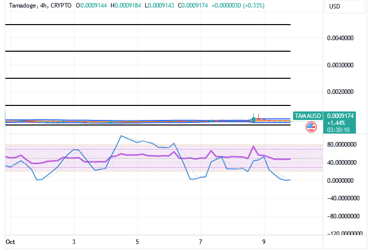 Tamadoge (TAMA/USD) Price Rises Slowly, Conjecturing Hikes