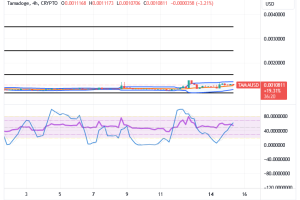 Tamadoge (TAMA/USD) Trade Holds Basing, Prepares for Hikes