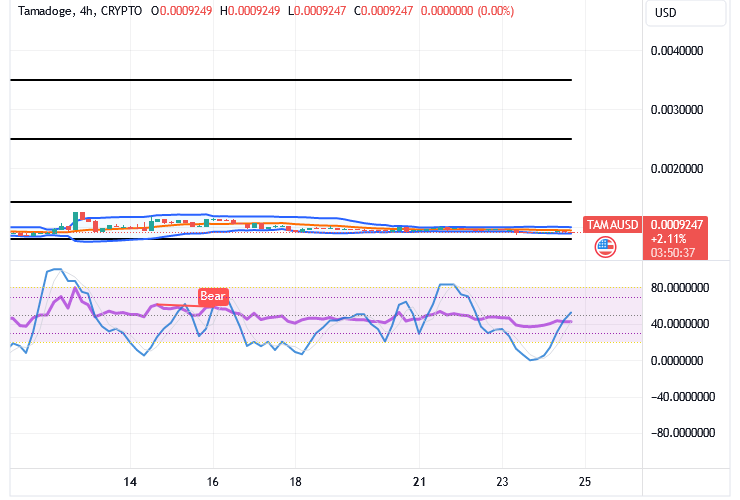 Tamadoge (TAMA/USD) Market Bottoms, Gathering Catalysts