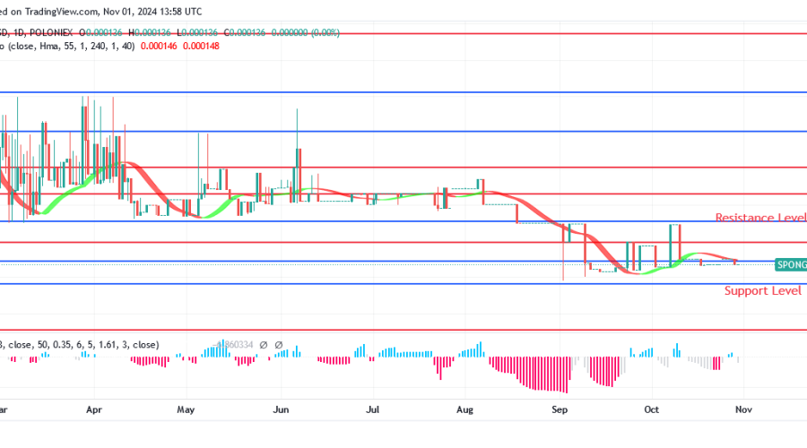 Sponge Market Might Keep Rising