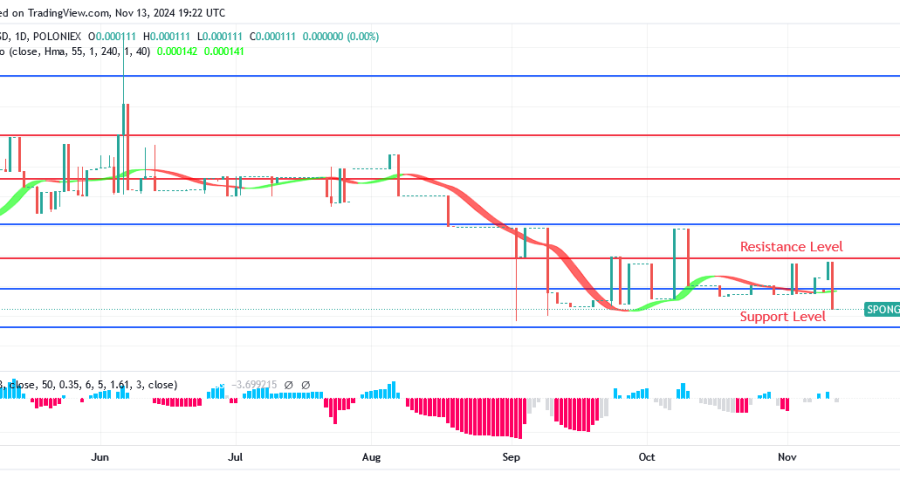 Sponge Market Is Rising, and It Can Keep Rising