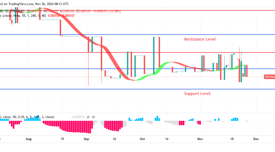 Sponge Price Can Continue to Rise Until Bulls Create a Barrier