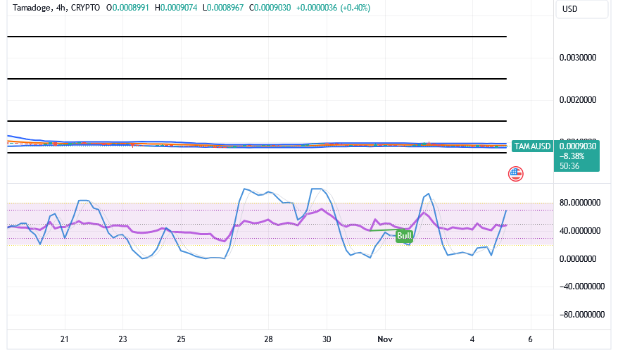 Tamadoge (TAMA/USD) Trade Affirms Basis, Conjecturing Rises