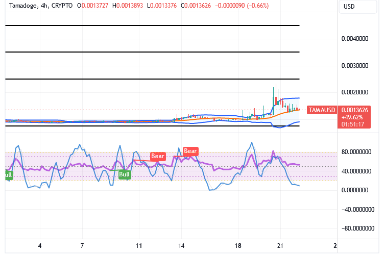 Tamadoge (TAMA/USD) Trade Sets a Path, Nurturing a Bounce