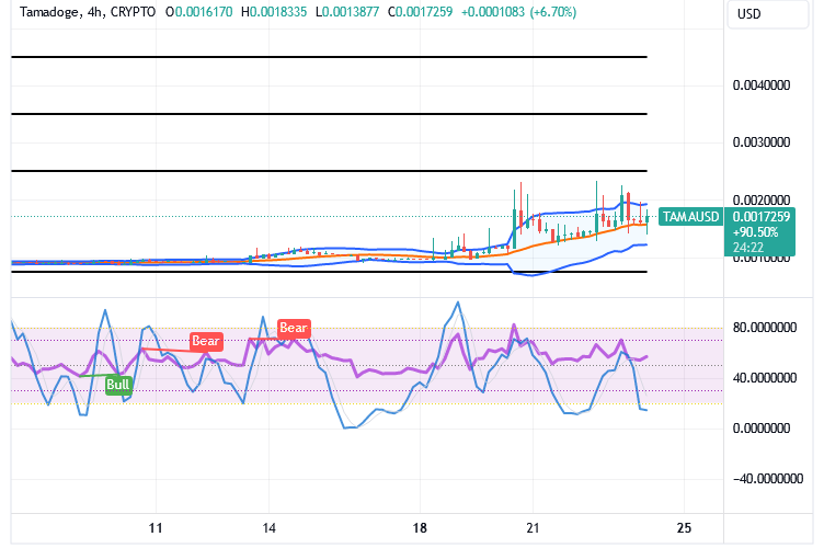 Tamadoge (TAMA/USD) Trade Holds a Hike, Settling for Rises
