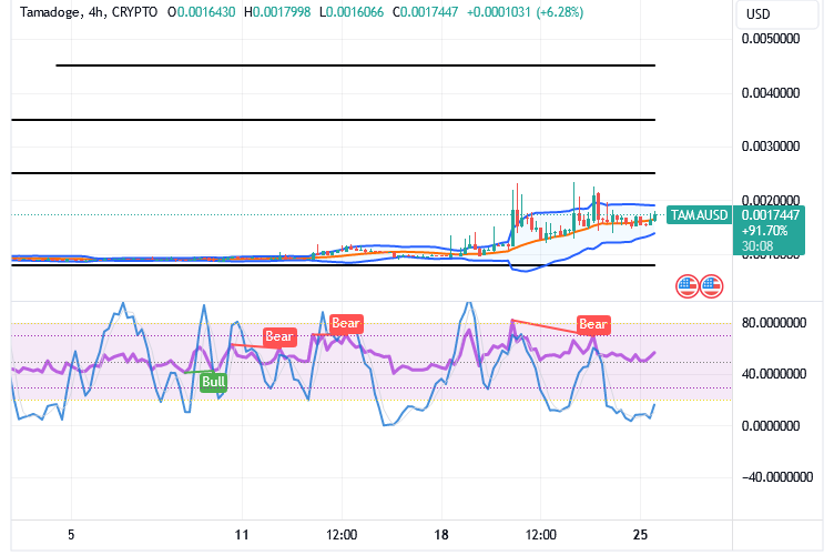 Tamadoge (TAMA/USD) Trade Muscles Up, Averaging $0.0025
