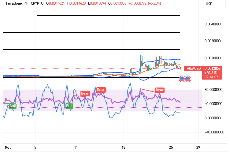Tamadoge (TAMA/USD) Trade Slows Action, Fine-tuning Basis