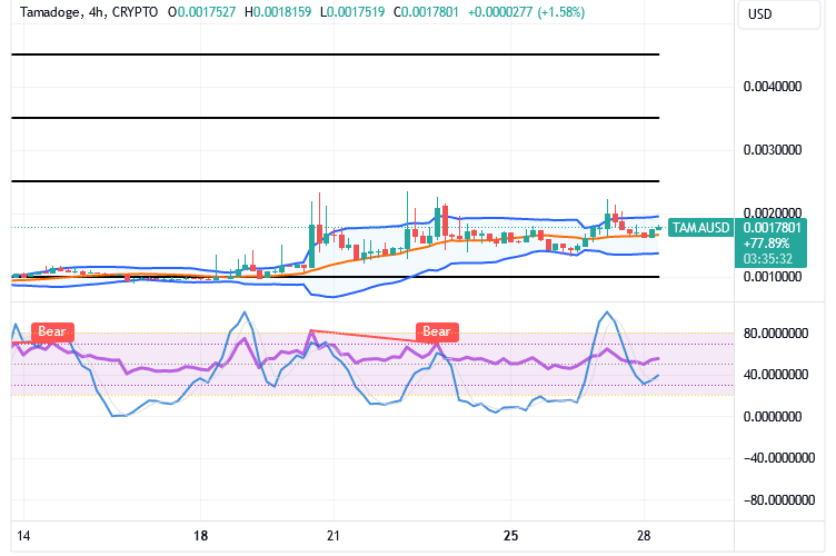 Tamadoge (TAMA/USD) Trade Bumps About, Gathering Catalysts