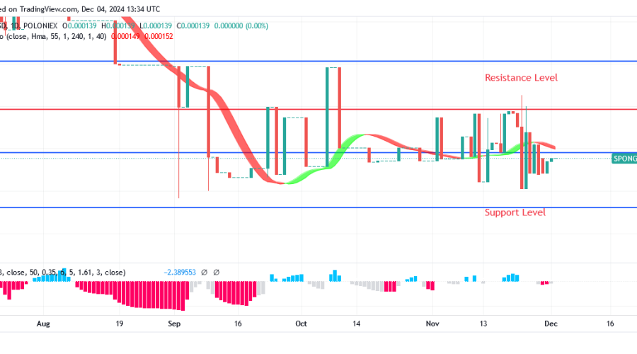 Sponge Price: More Bullish Candles Are Appearing