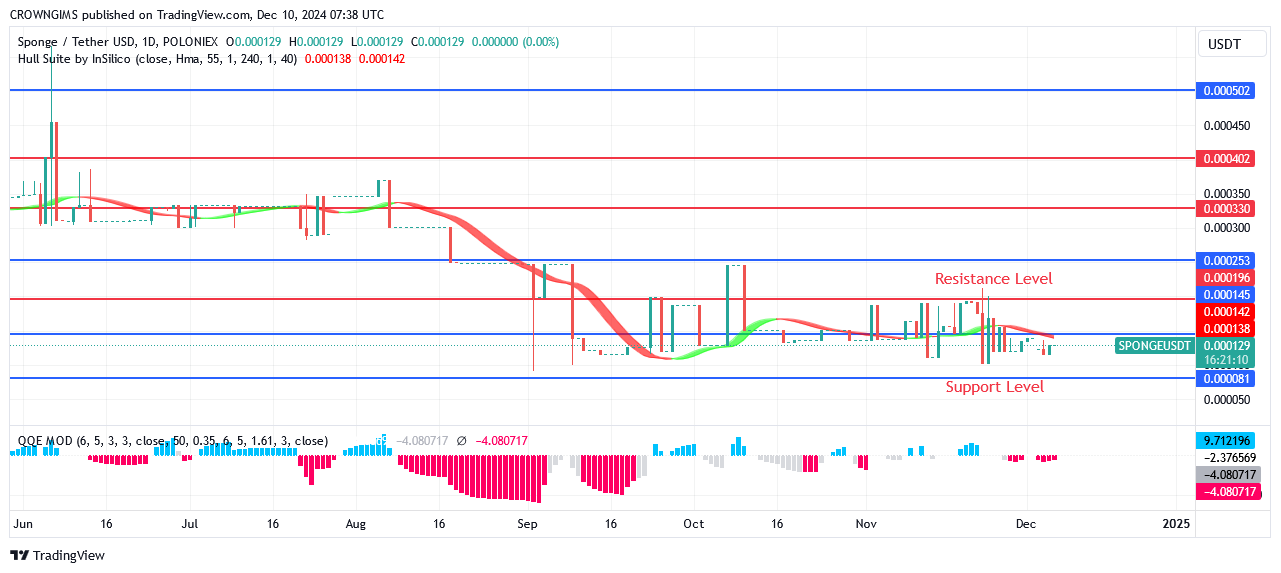 Sponge Price Will Soon Break Up $0.000146 Mark