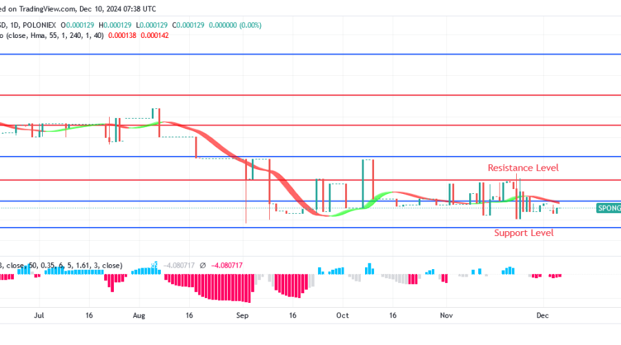Sponge Price Will Soon Break Up $0.000146 Mark