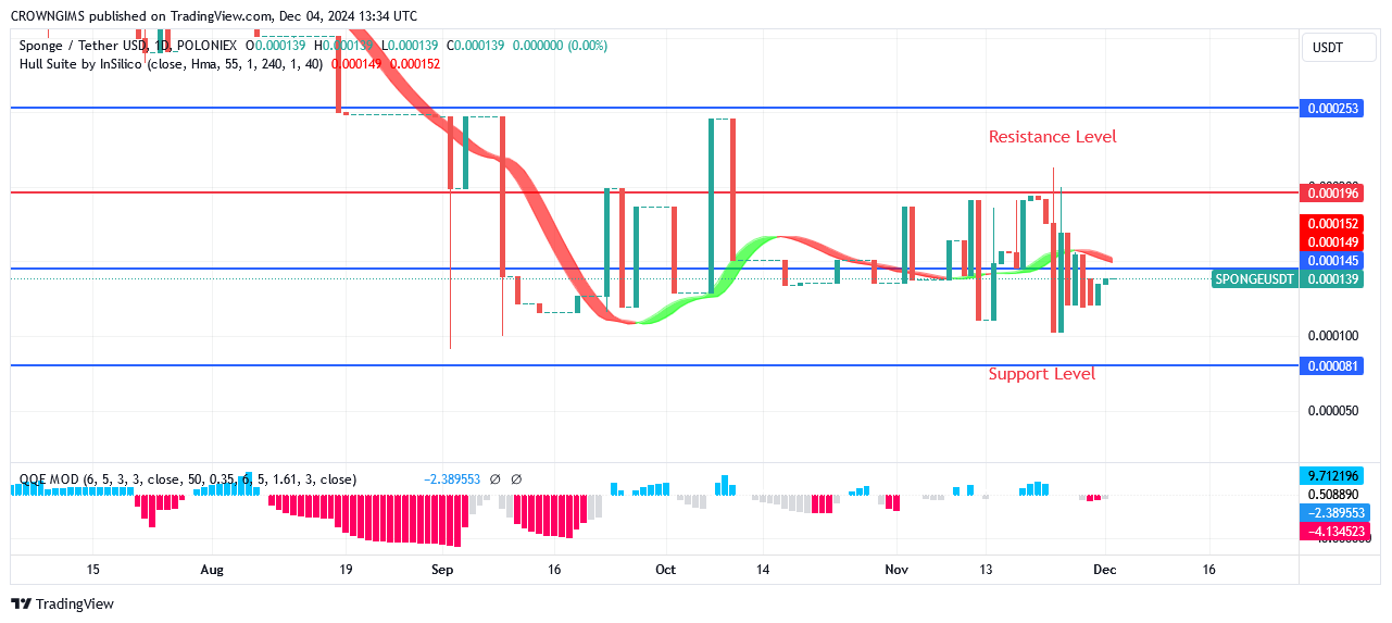 Sponge Price: More Bullish Candles Are Appearing 