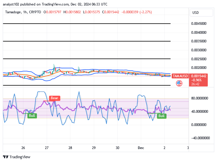 Tamadoge (TAMA/USD) Market Tends to Hike, Holding a Base