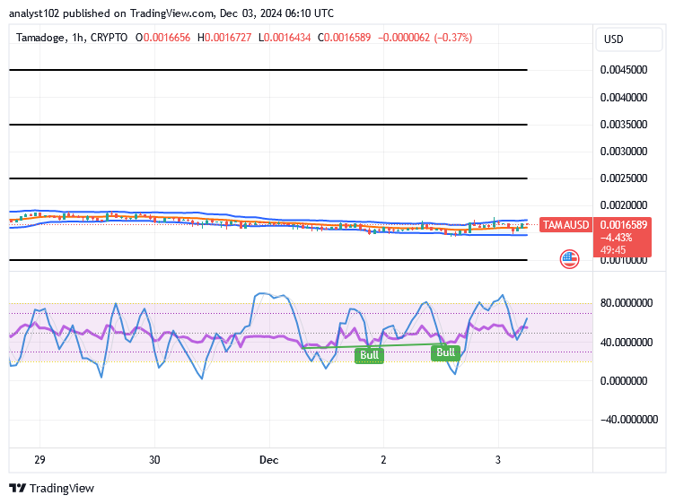 Tamadoge (TAMA/USD) Market Pushes Unsteadily, Holding Rises