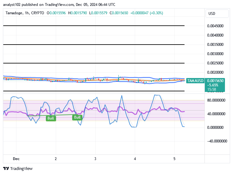 Tamadoge (TAMA/USD) Market Is Feeble, Waxing Momentum