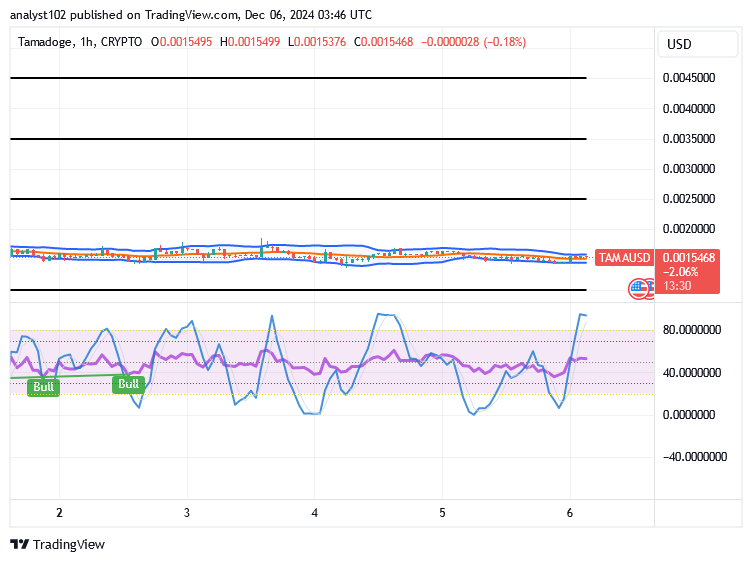 Tamadoge (TAMA/USD) Market Holds Rise Inputs, Affirming Basis