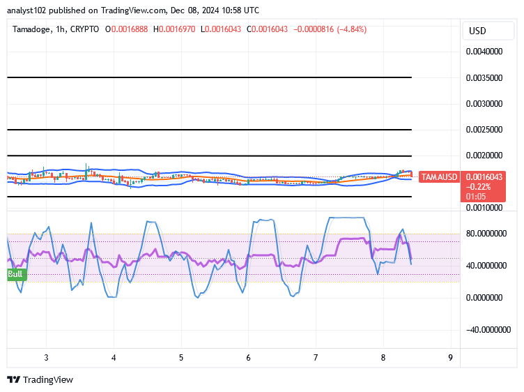 Tamadoge (TAMA/USD) Market Relaxes, Composing Bounces