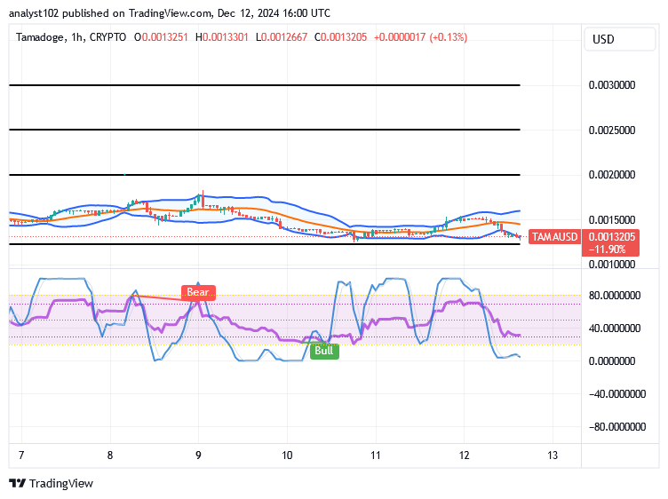 Tamadoge (TAMA/USD) Market Is Downside, Building a Strength