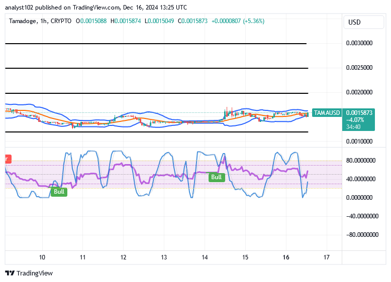 Tamadoge (TAMA/USD) Trade Has Hike Inputs, Tending Delays