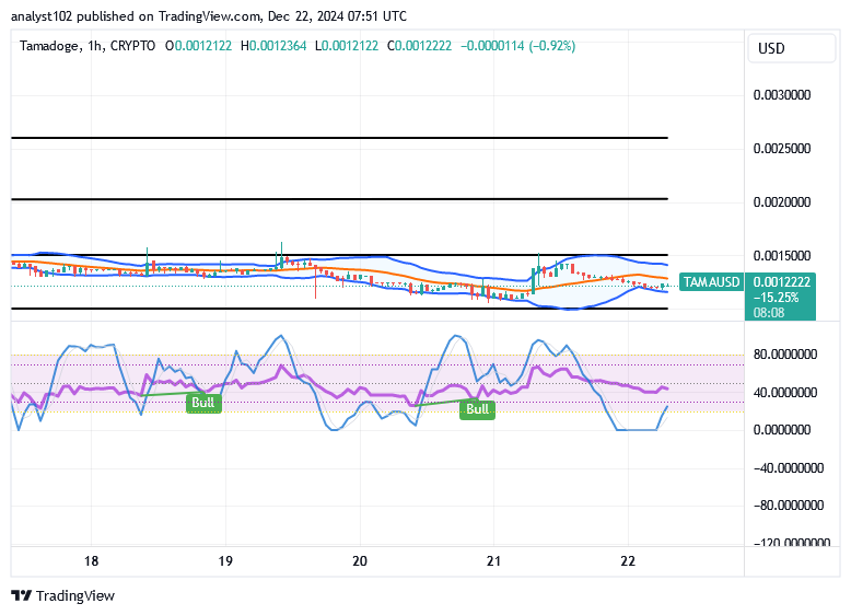 Tamadoge (TAMA/USD) Trade Finds Basis, Advancing Momentum